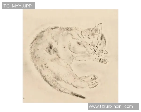 足球明星素猫画展现球场魅力与猫咪灵动结合的奇妙艺术之旅